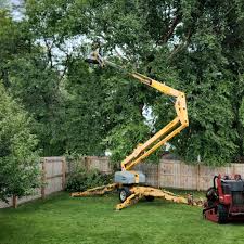 Lawn Irrigation Installation and Maintenance in Republic, PA