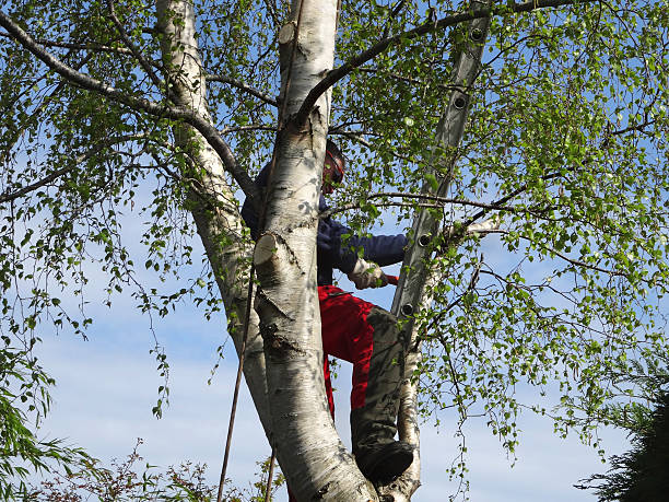 Mulching Services in Republic, PA